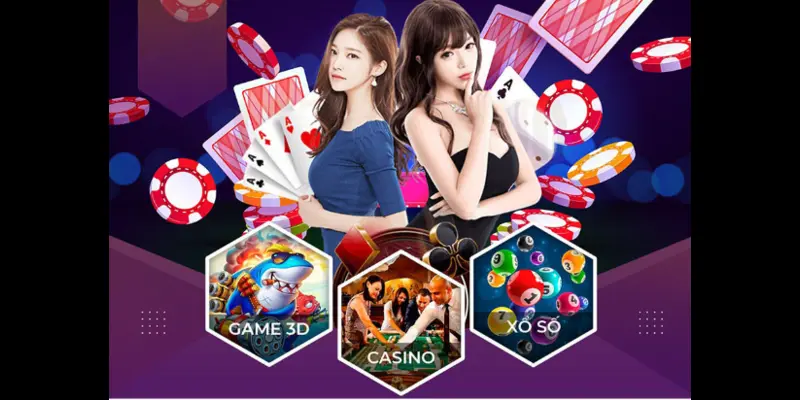 Điều Khoản Dịch Vụ